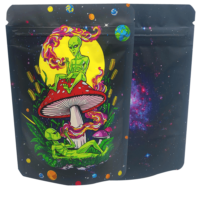 Various Sizes Food Storage Zipper Stand up Mylar Bags with Custom Printing